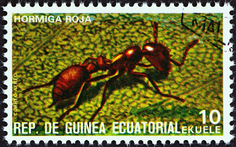 ant stamp